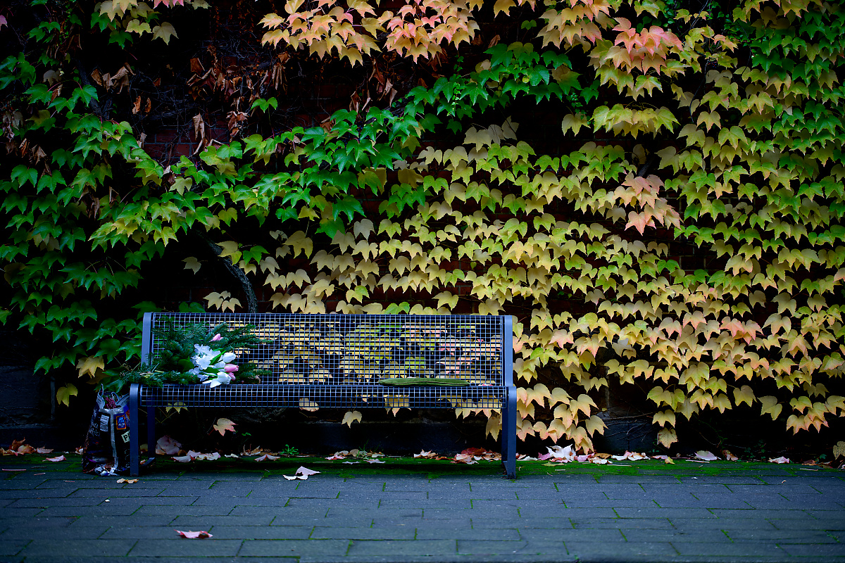 DSC_0739.jpg
