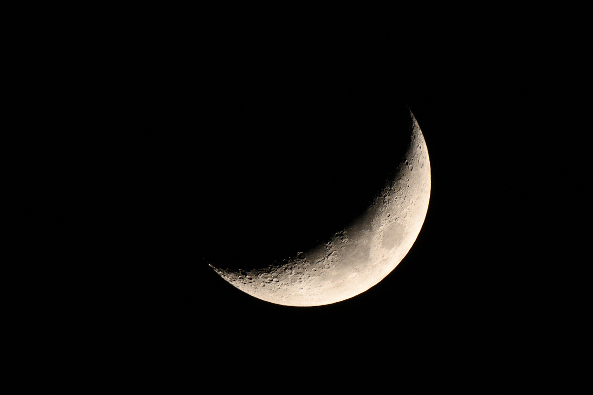 DSC_0748_2.JPG