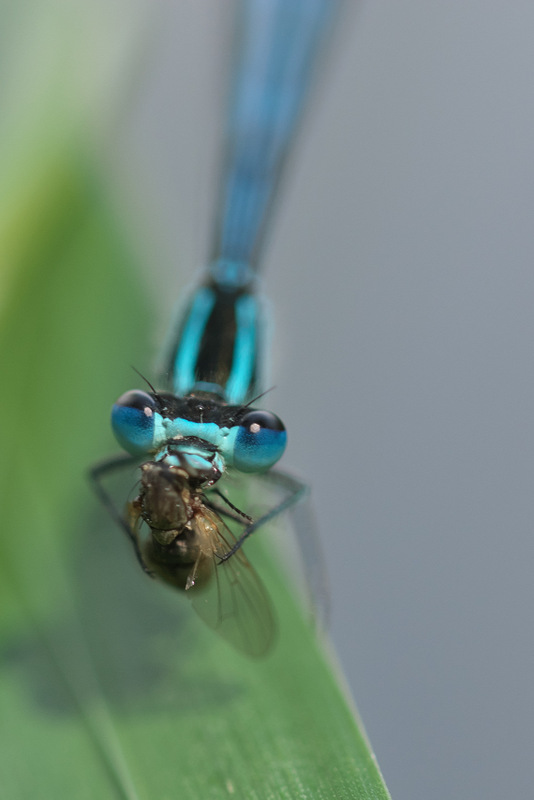 DSC_0751.jpg