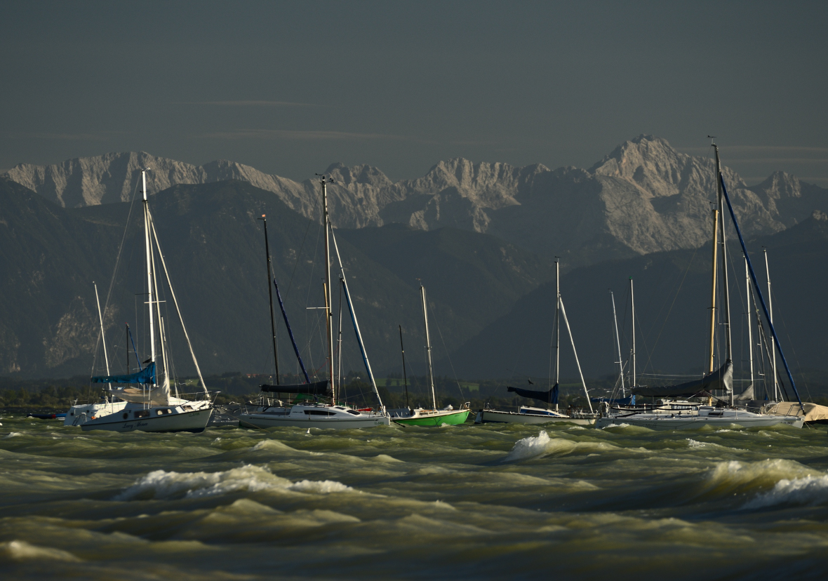 DSC_0782_1.jpg