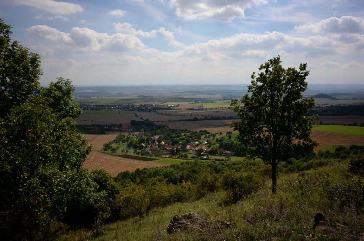 DSC_0787n.JPG