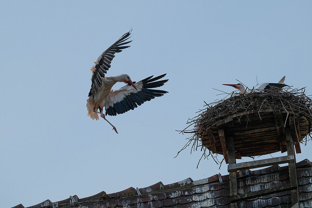 DSC_0793k.jpg