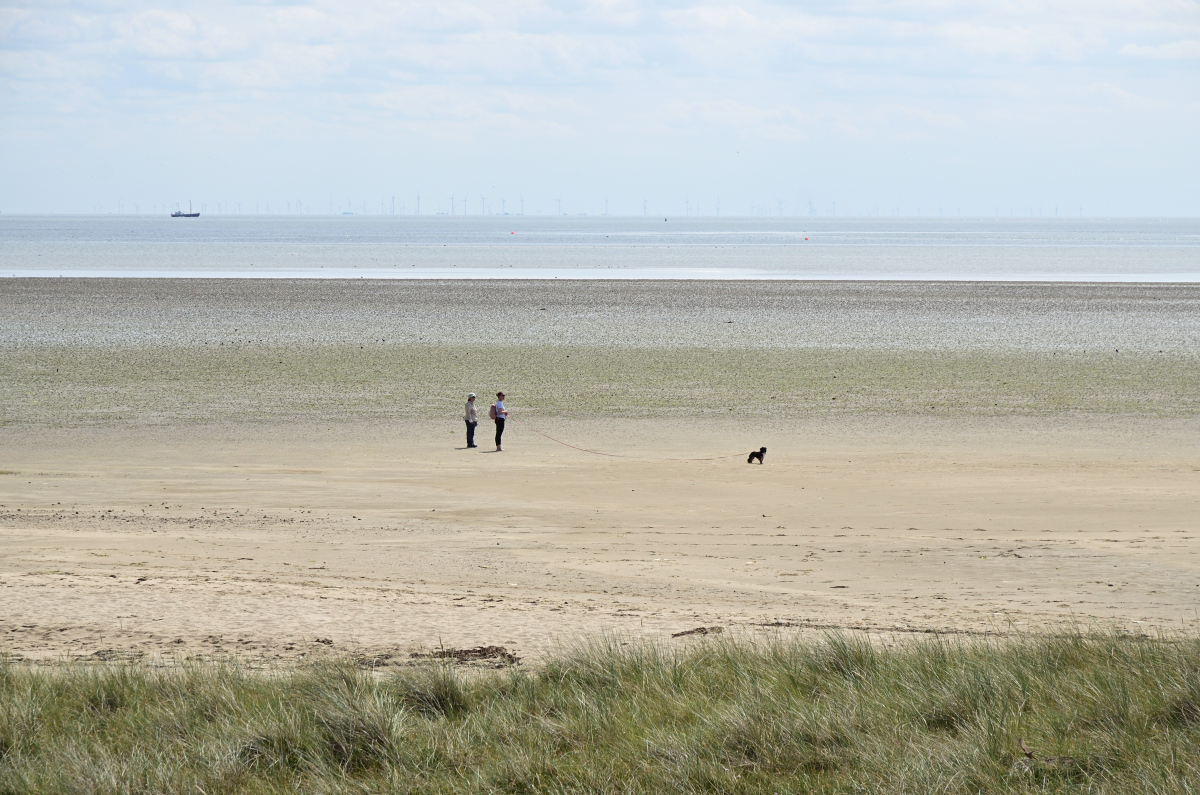 DSC_0818.JPG