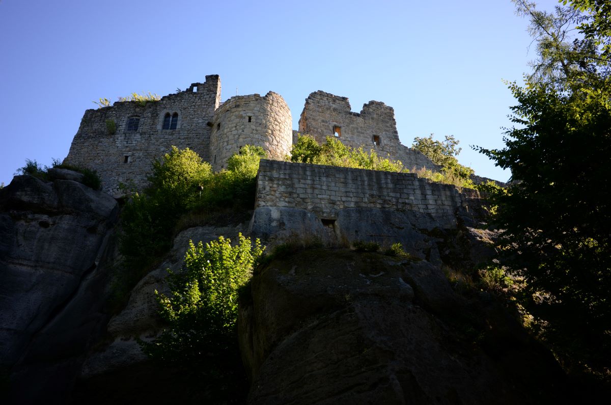 DSC_0820n.JPG