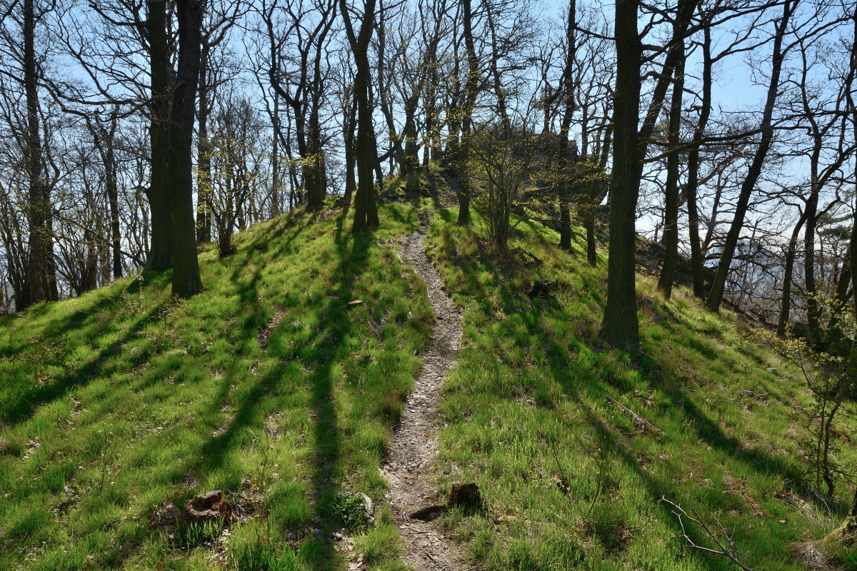 DSC_0863_00001n.jpg