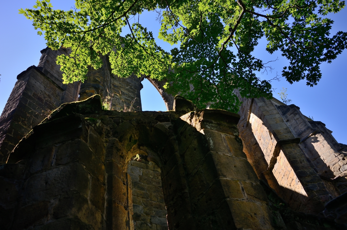 DSC_0874_00001n.jpg