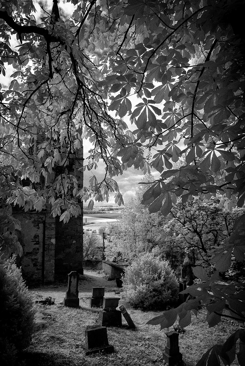 DSC_0890a.jpg