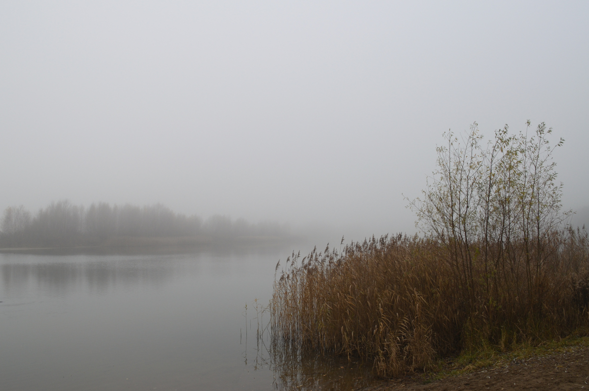 DSC_0891.JPG