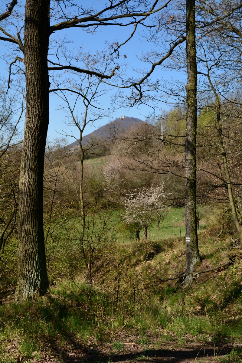 DSC_0900_00001_01n.jpg