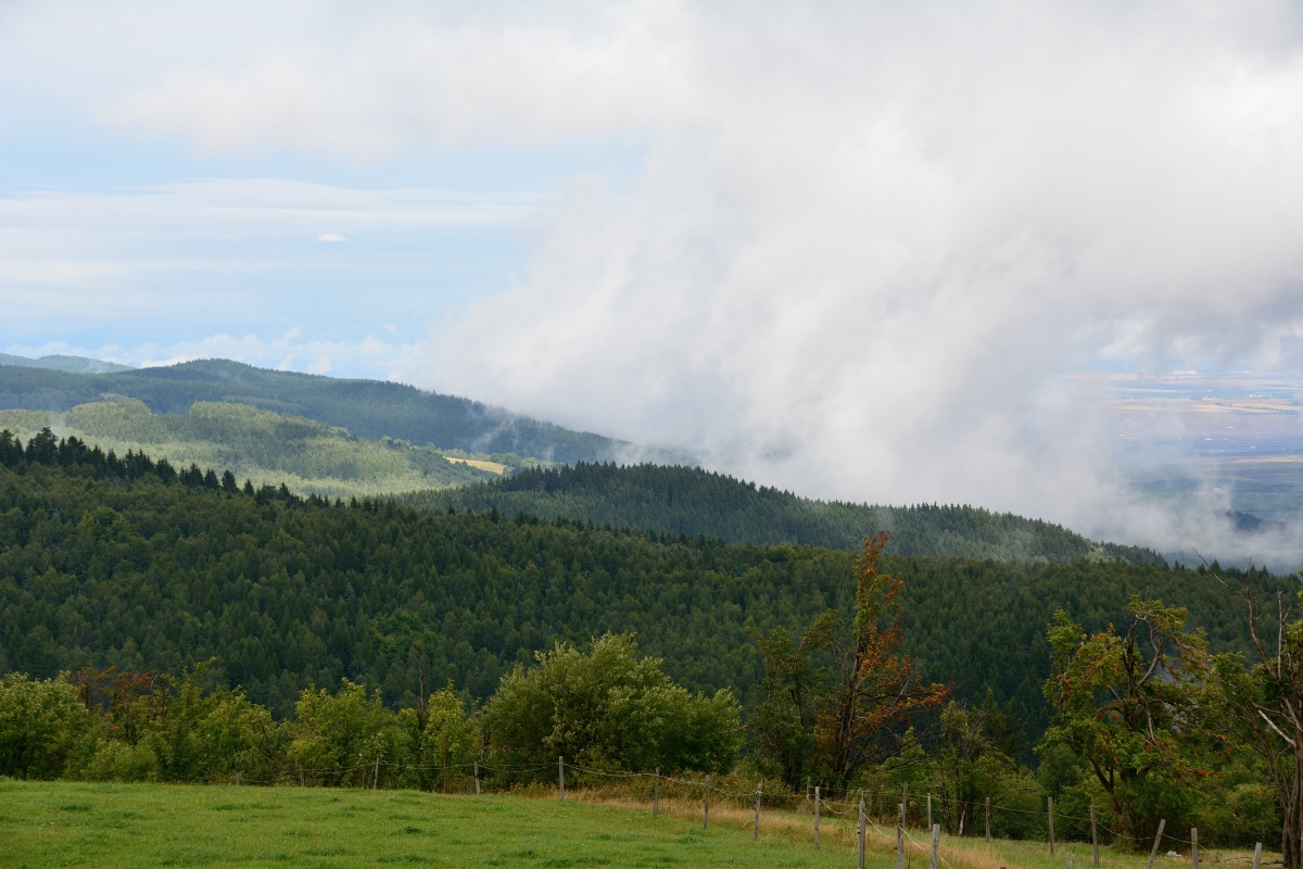 DSC_0911_00011n.jpg