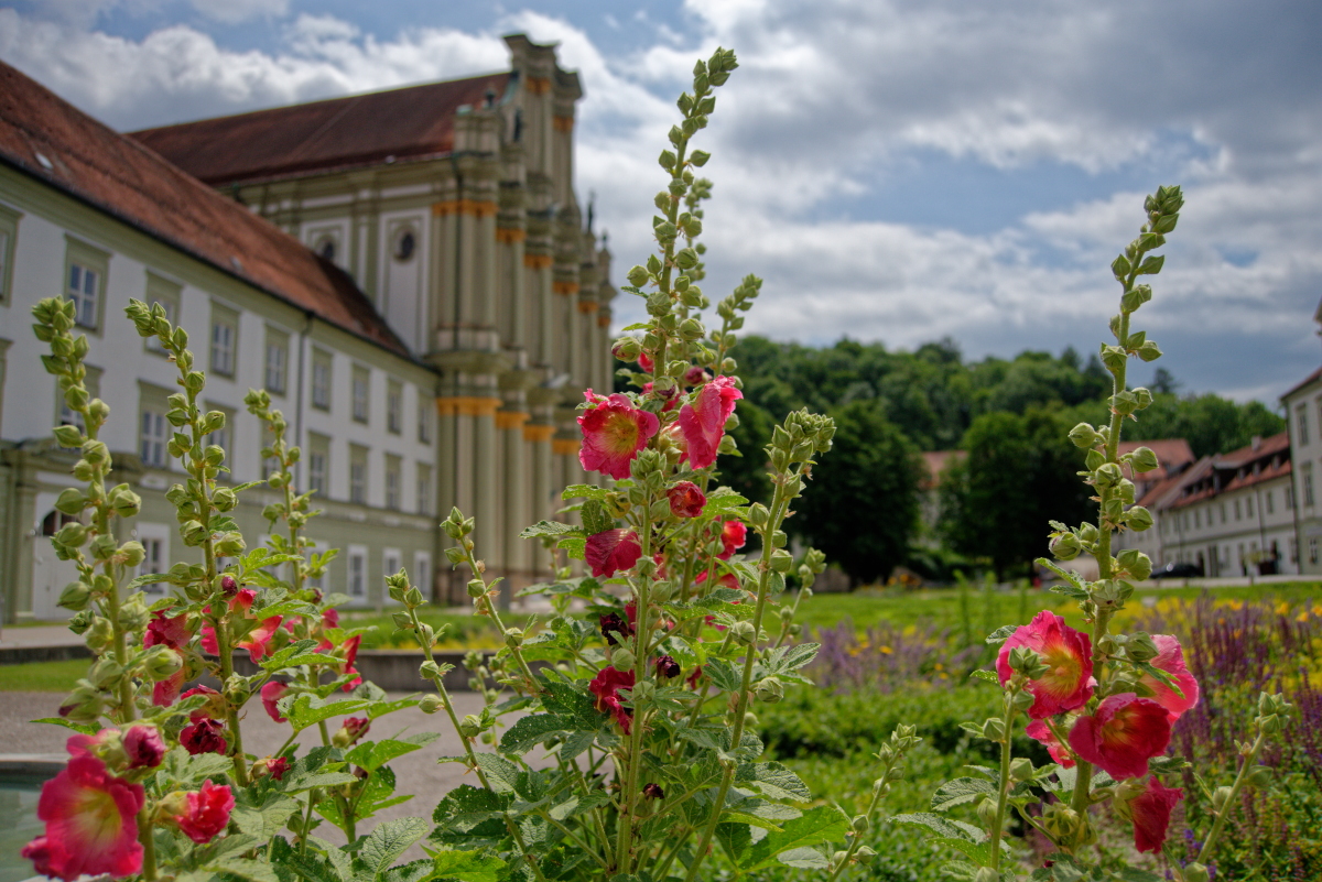 DSC_0911_DxO2.jpg