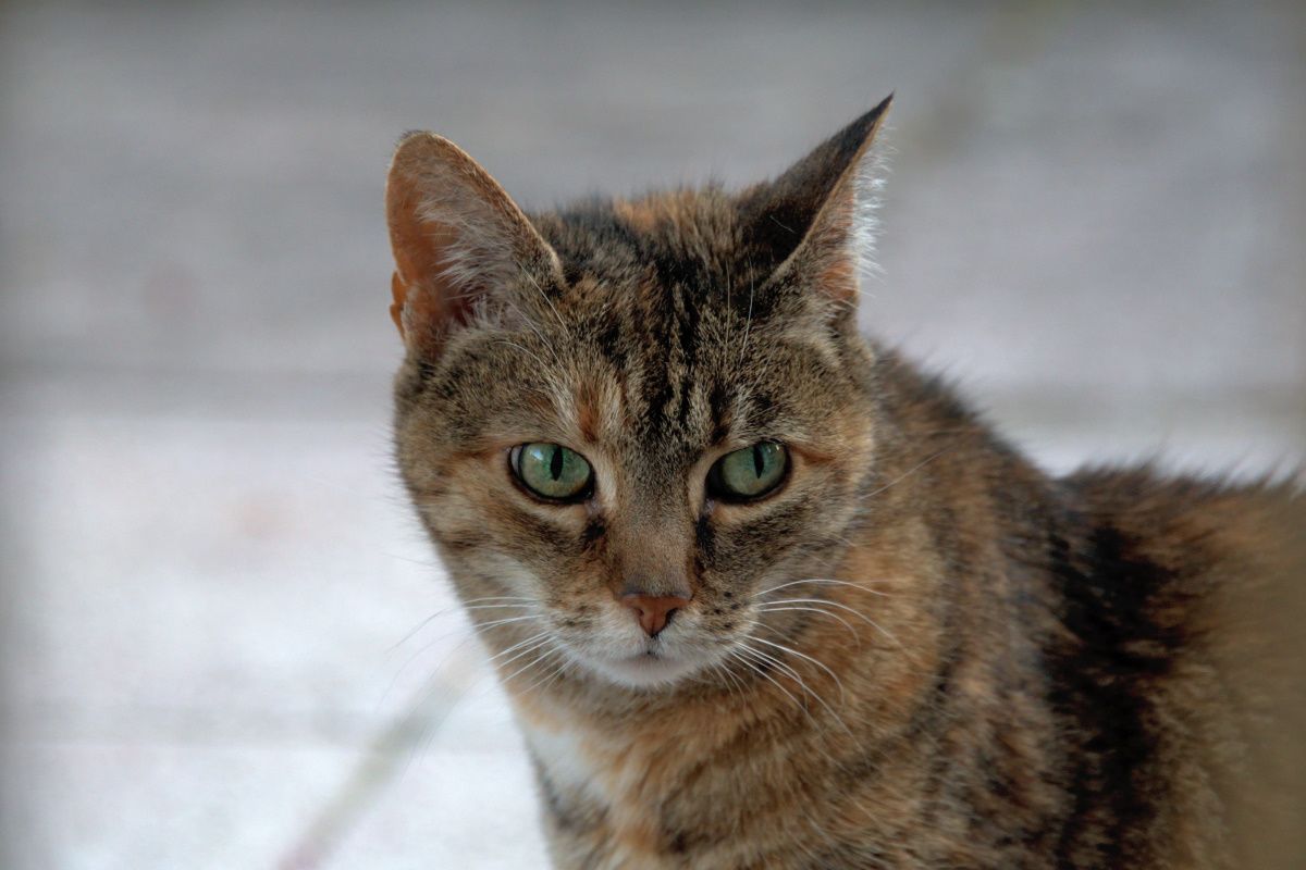 DSC_0912_00001.jpg