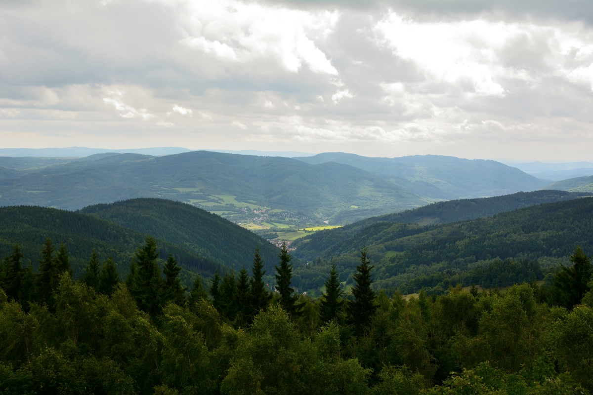 DSC_0923_00001n.jpg