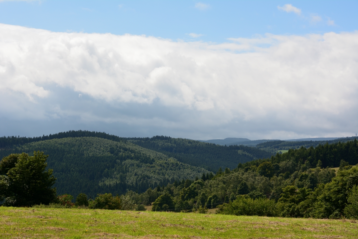 DSC_0932_00005n.jpg