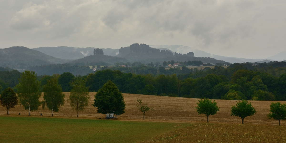 DSC_0934_00001_02n.jpg