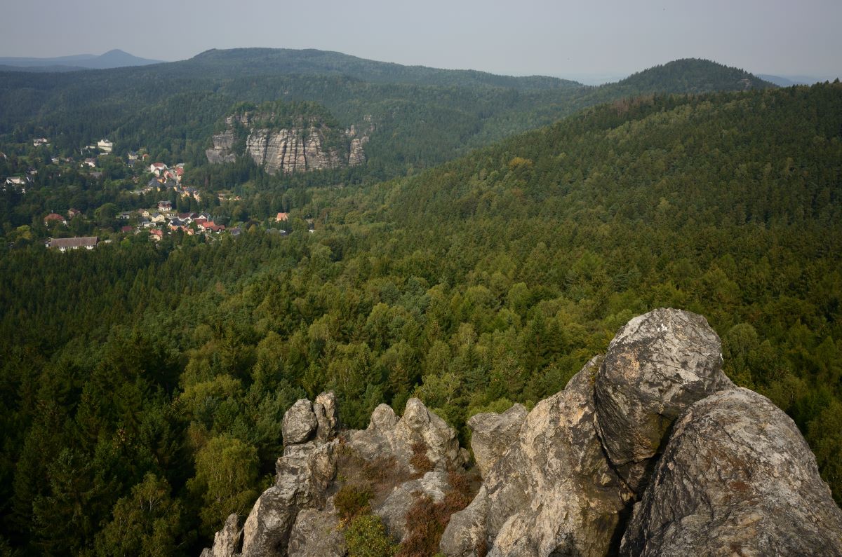 DSC_0967_00001n.jpg