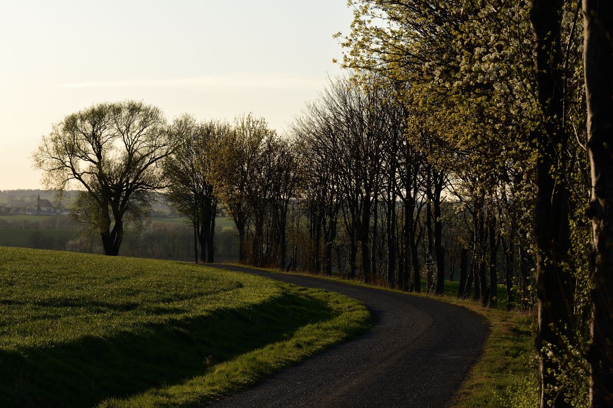 DSC_0983_00001n.jpg