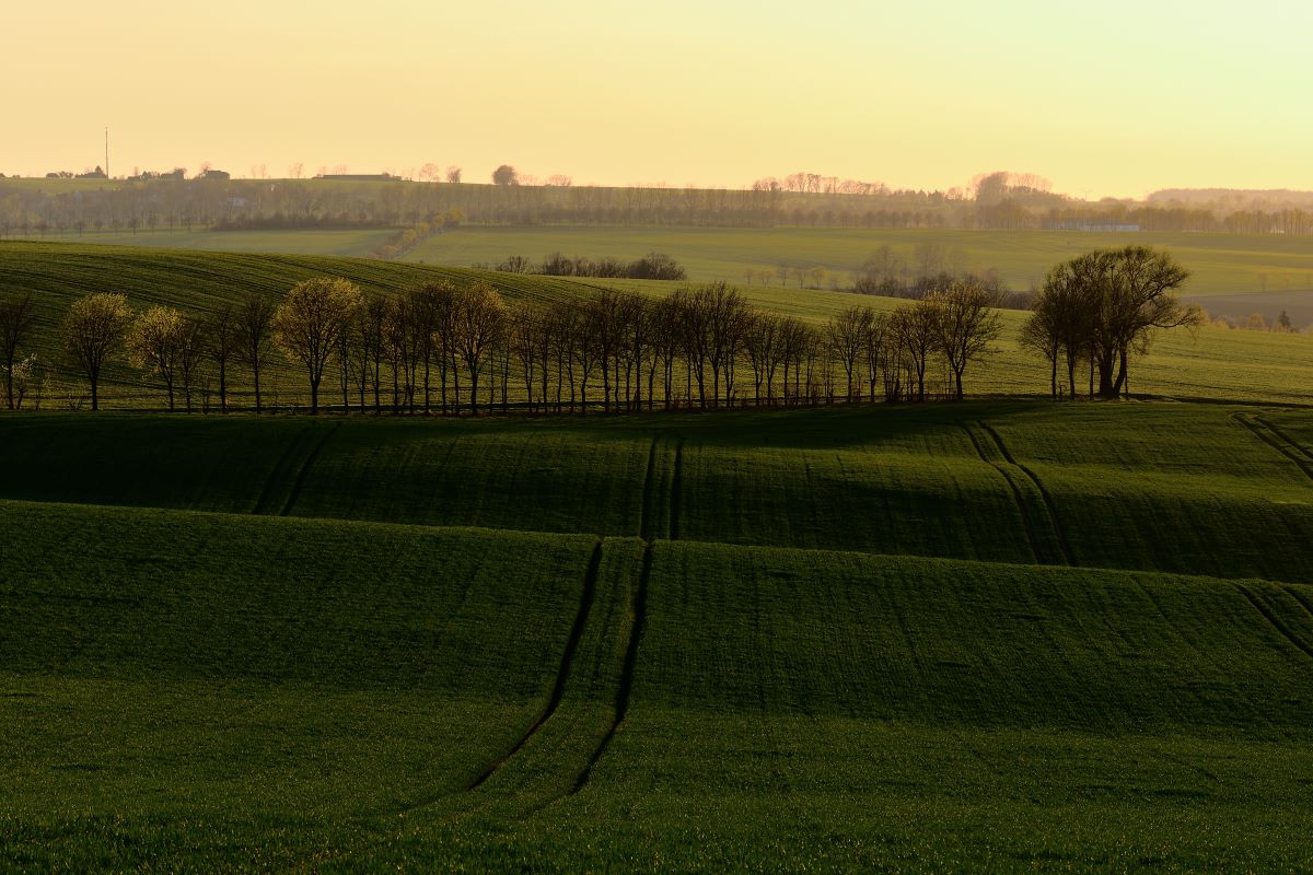 DSC_0986_00001_03n.jpg