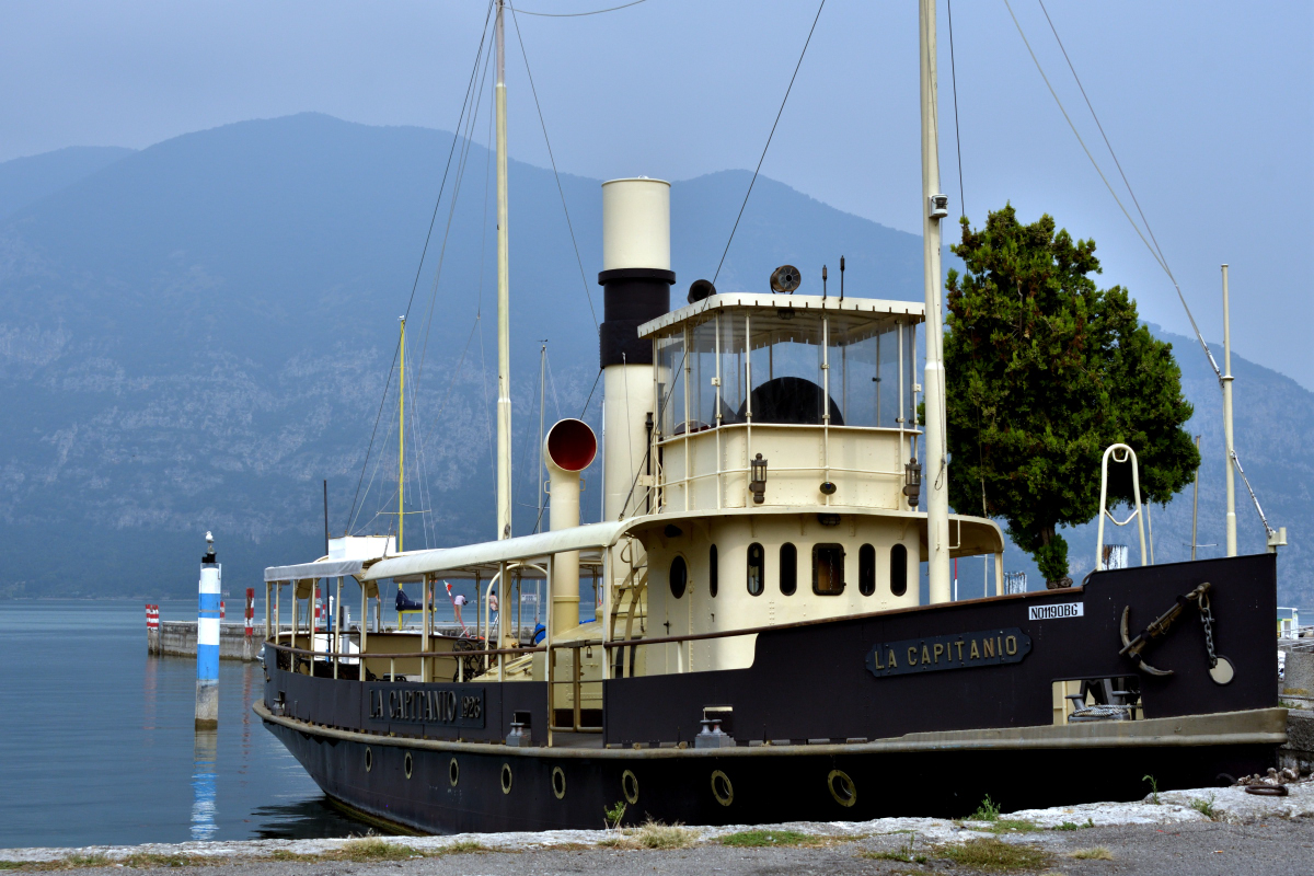 DSC_1005_00001.jpg