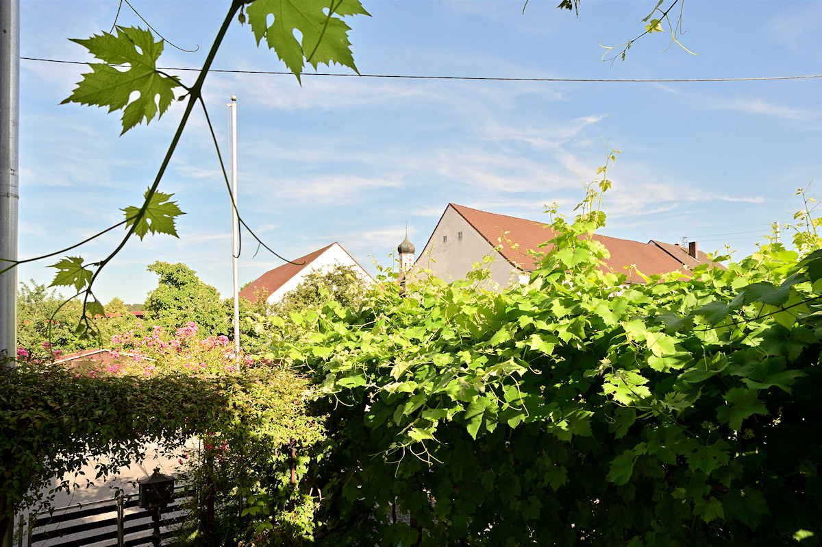 DSC_10124.jpg