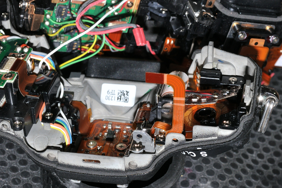 DSC_10146.jpg