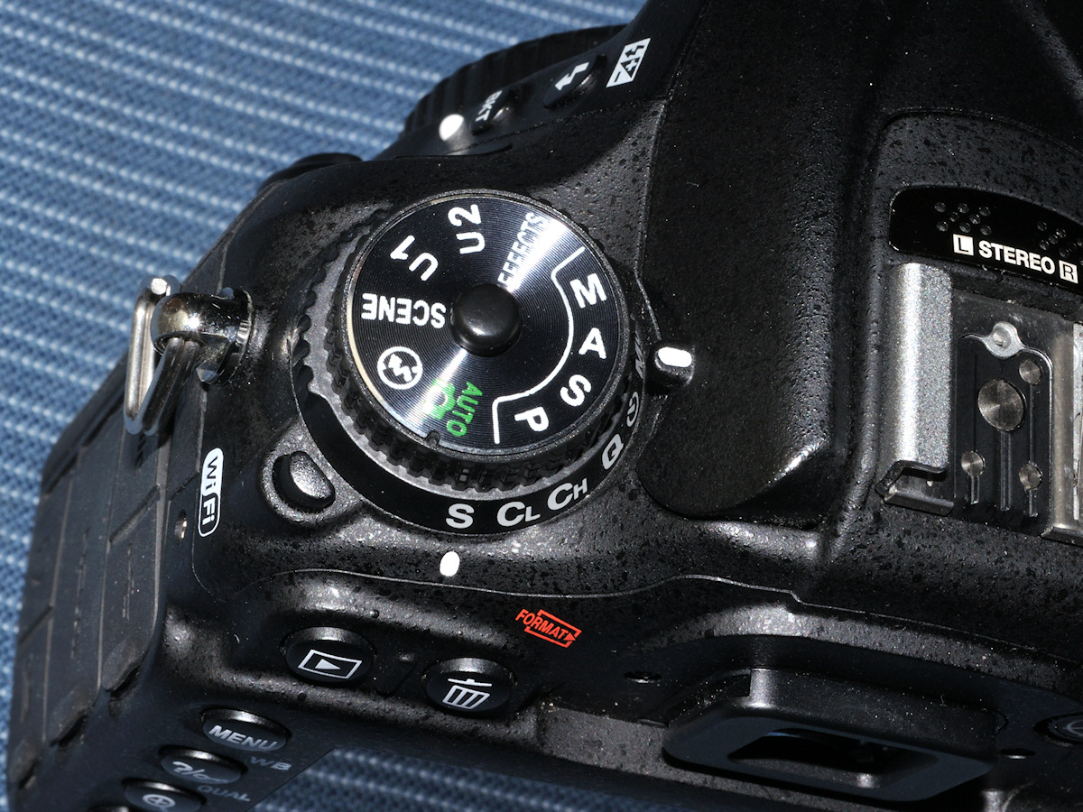 DSC_10148.jpg