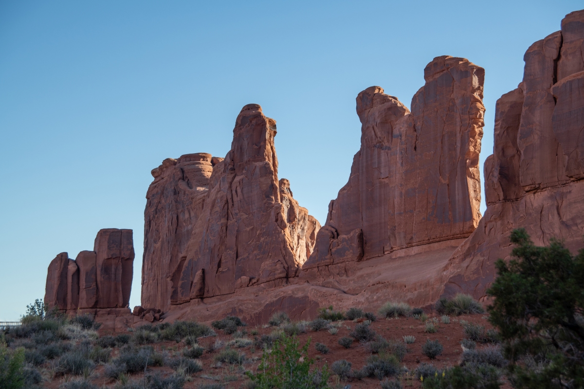 DSC_1024.jpg