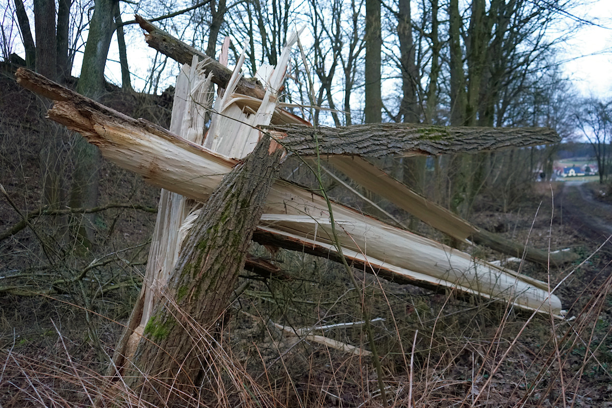 DSC_10255.jpg