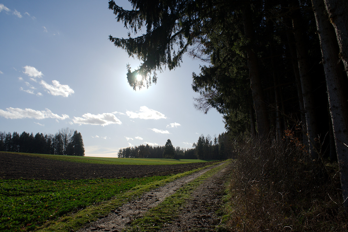 DSC_10257.jpg