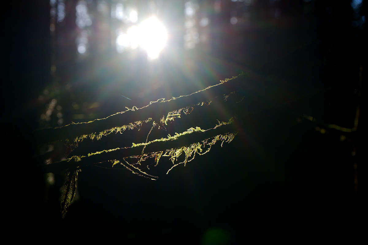 DSC_10259.jpg