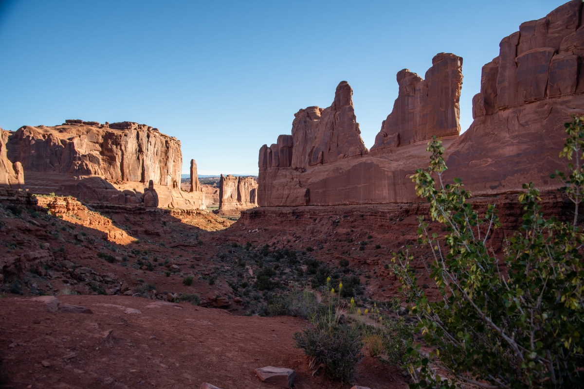 DSC_1026.jpg