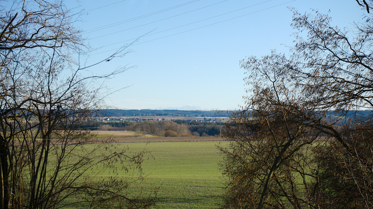 DSC_10260.jpg