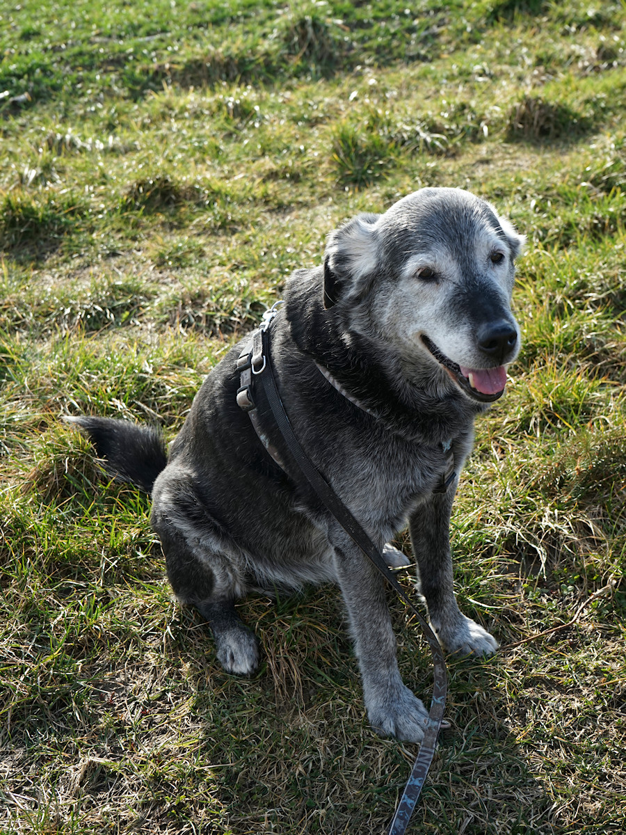 DSC_10268.jpg