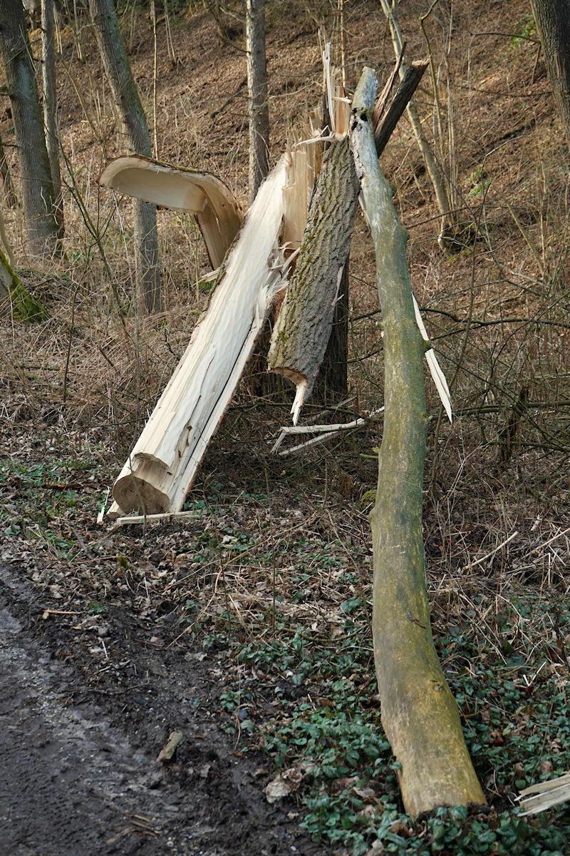 DSC_10272.jpg
