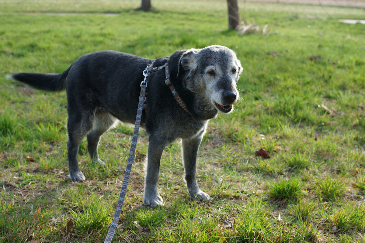 DSC_10318.jpg