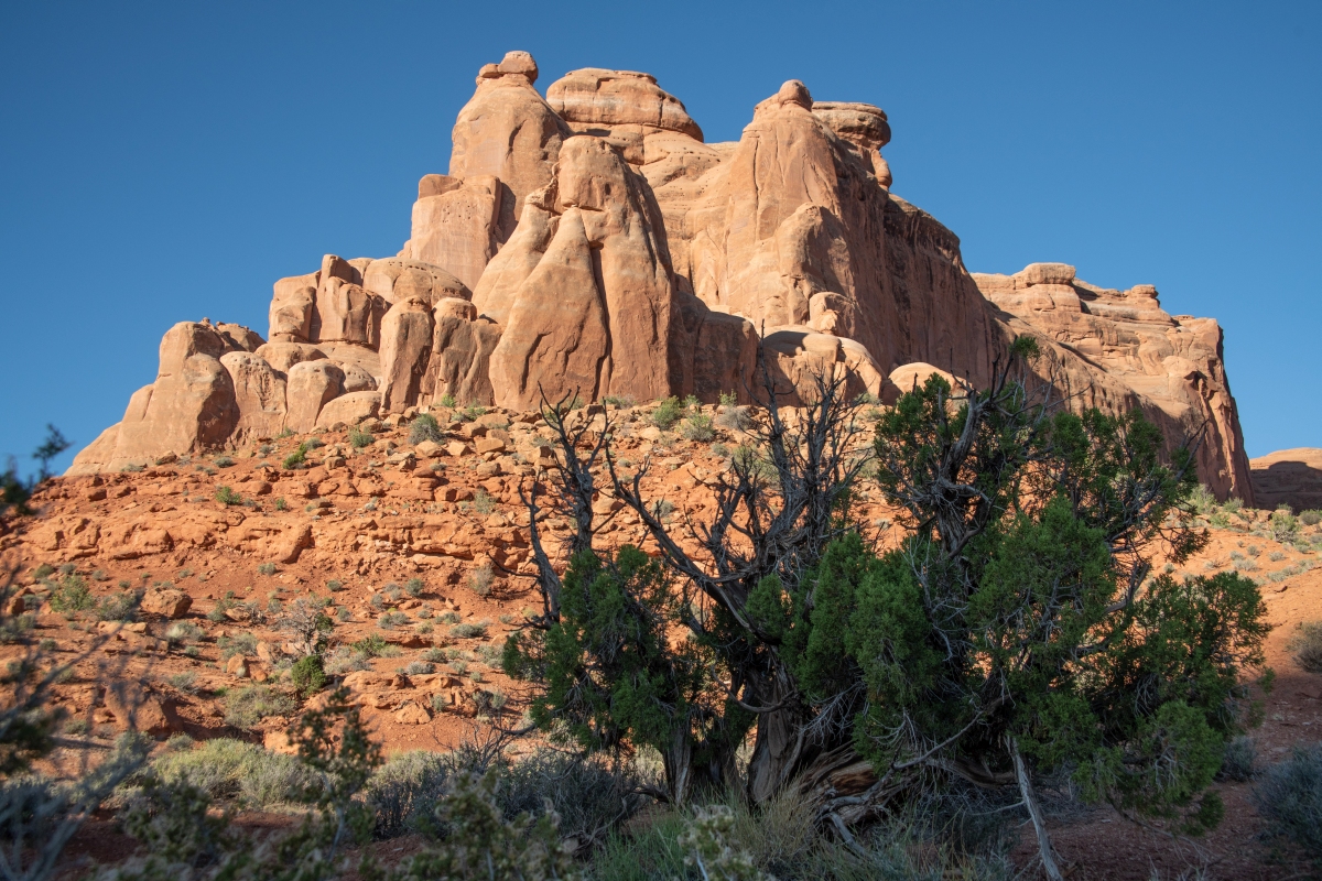 DSC_1033.jpg