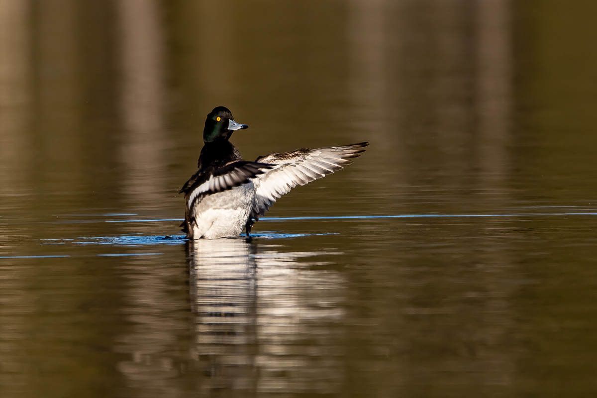 DSC_1034.jpg