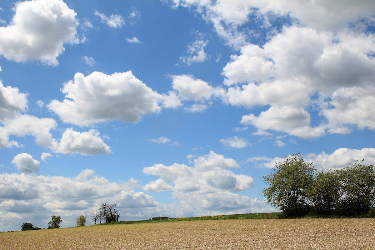 DSC_10362.jpg