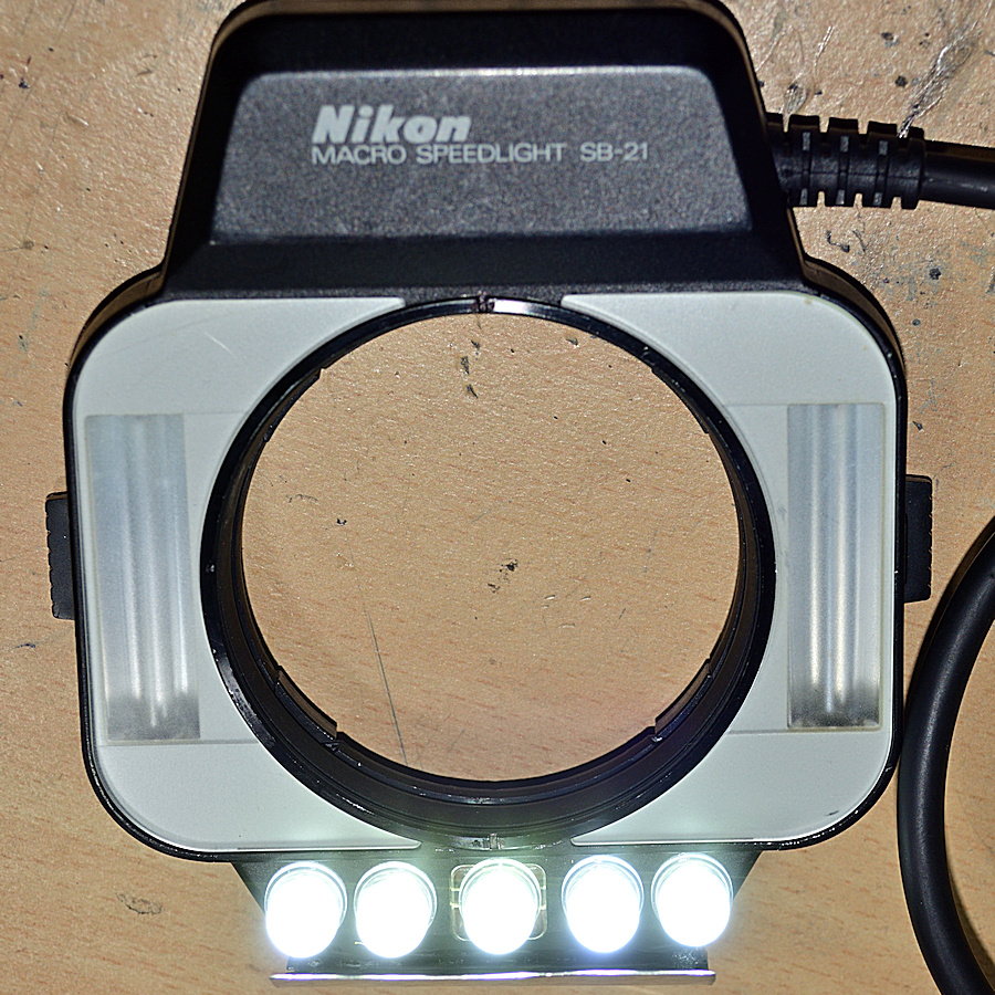 DSC_10384.jpg