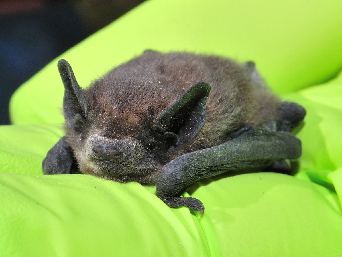 DSC_10386.jpg