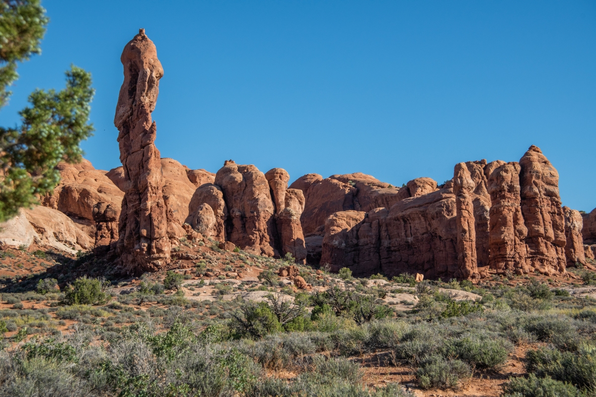 DSC_1039.jpg