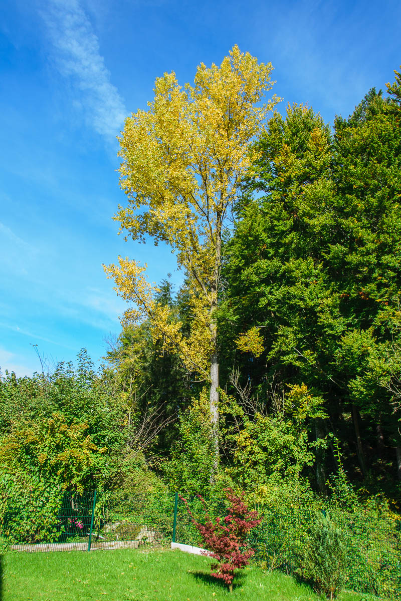 DSC_1040.jpg