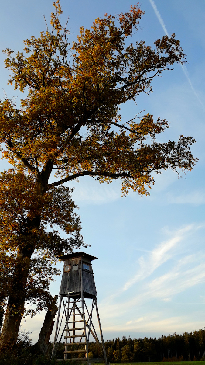 DSC_10417.jpg