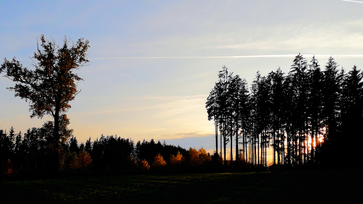 DSC_10419.jpg