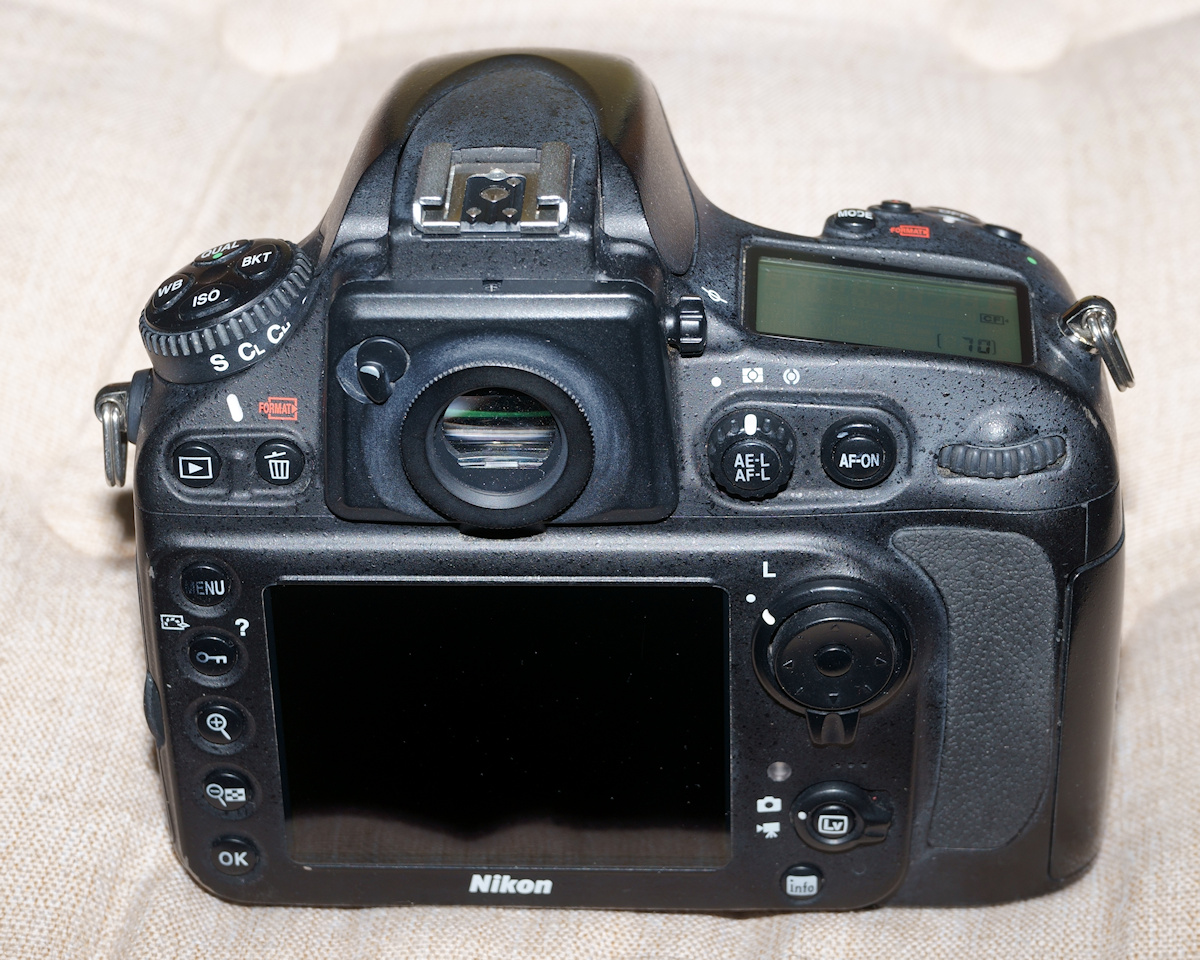 DSC_10431.jpg