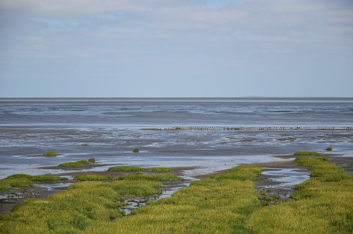 DSC_1055.JPG