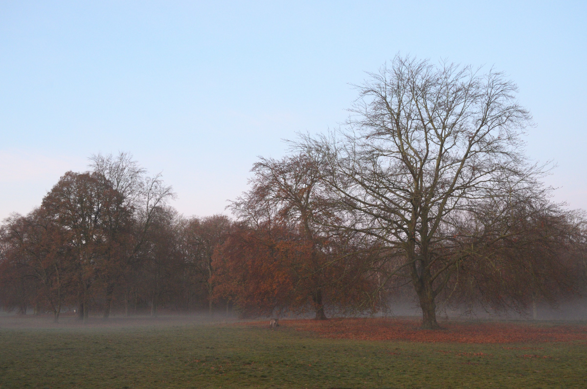 DSC_1068.JPG