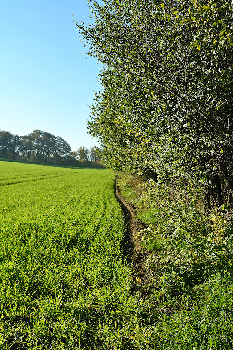 DSC_10746.jpg