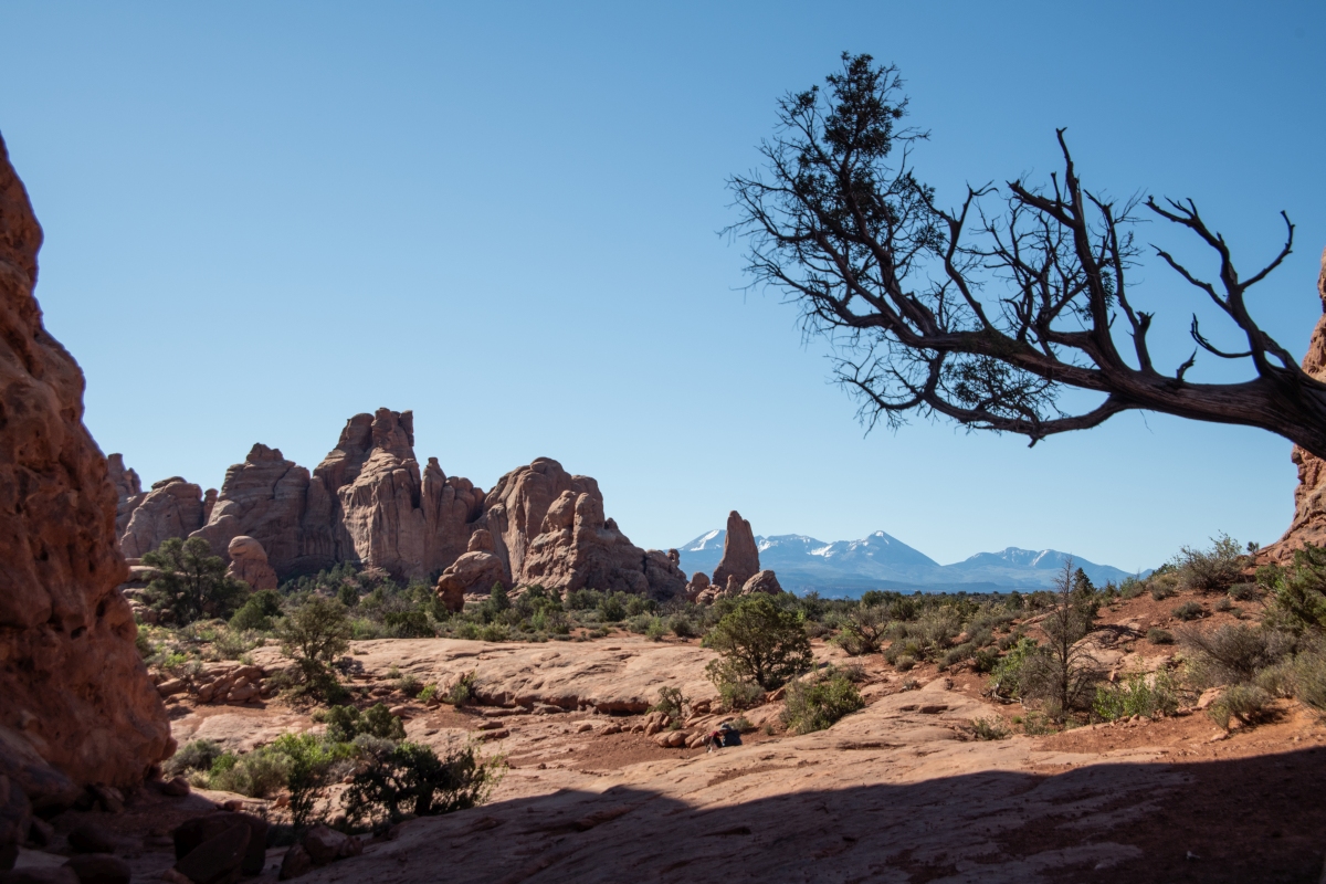 DSC_1075.jpg