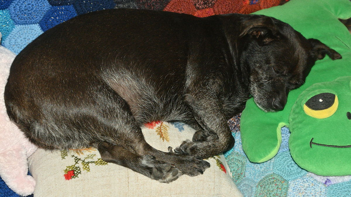 DSC_10755.jpg